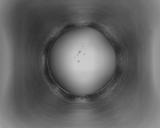 X0000111210742200907081301