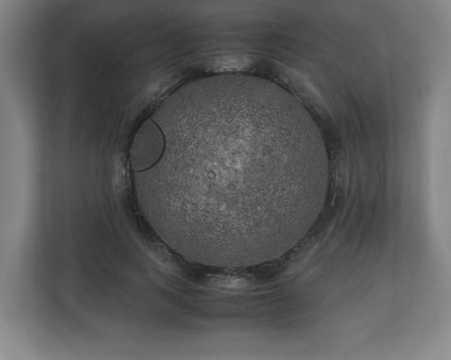 X0000111210743200907081301