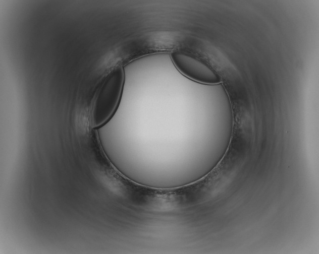 X0000111210744200907081301