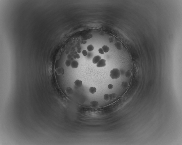 X0000111210745200907081301