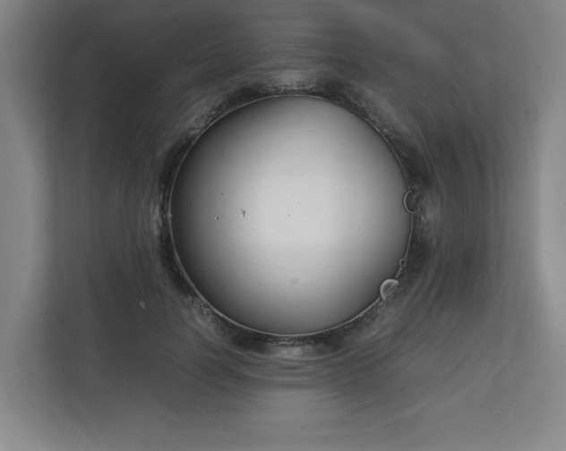 X0000111210746200907081301