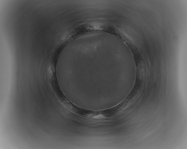 X0000111210747200907081301