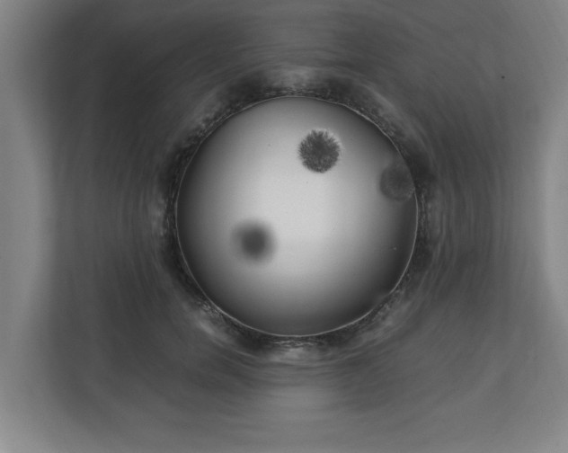 X0000111210750200907081301