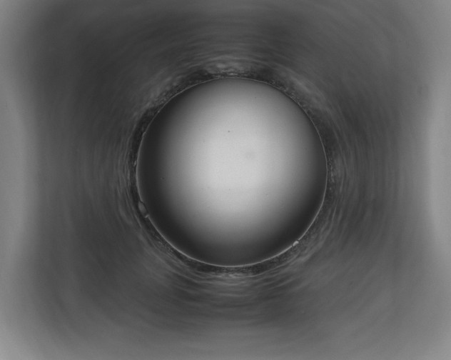 X0000111210751200907081301