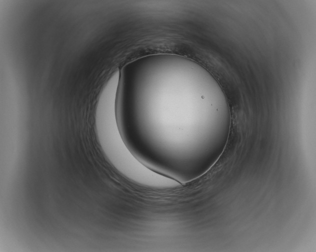 X0000111210752200907081301