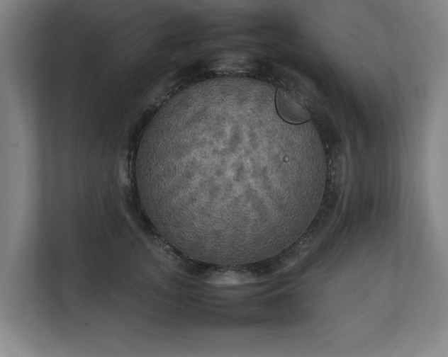 X0000111210755200907081301