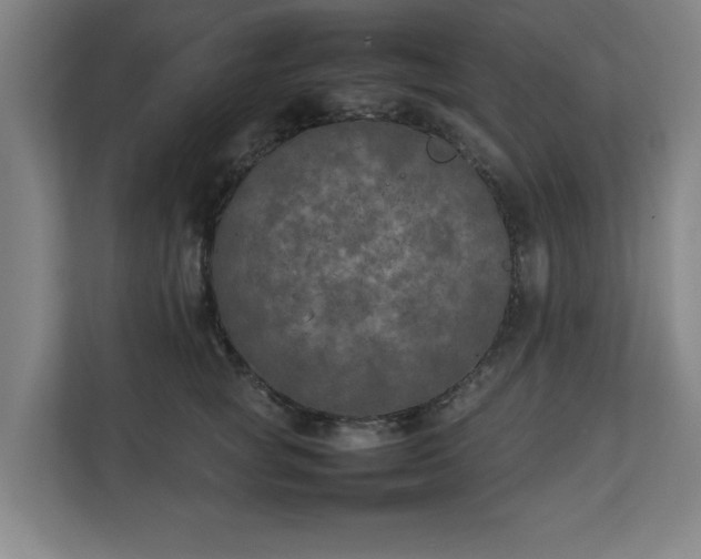 X0000111210757200907081301