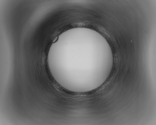 X0000111210760200907081302