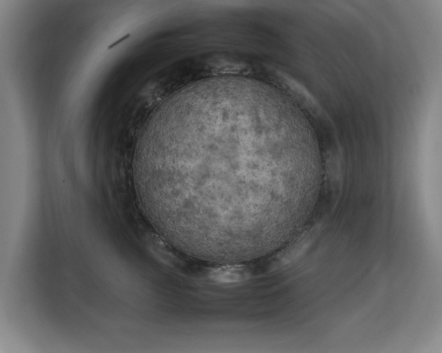 X0000111210761200907081302