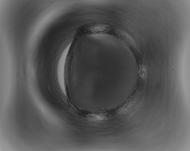 X0000111210763200907081302