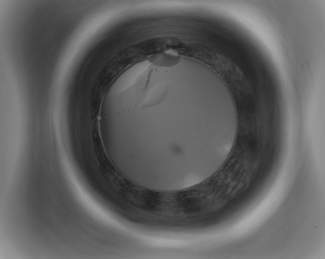 X0000111210766200907081302