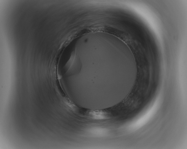 X0000111210767200907081302