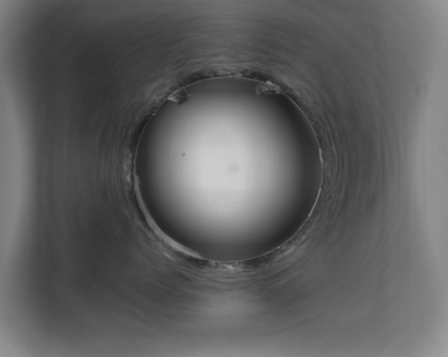 X0000111210768200907081302