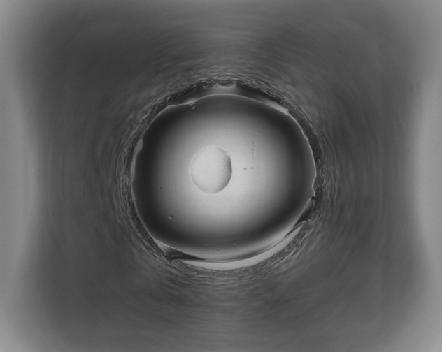 X0000111210769200907081301