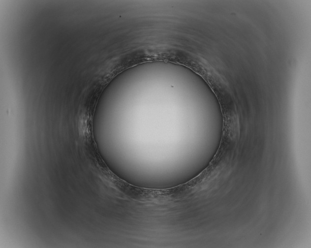 X0000111210770200907081301