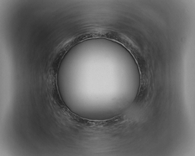 X0000111210773200907081301