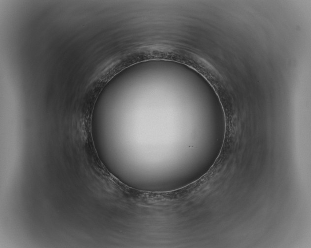 X0000111210774200907081301