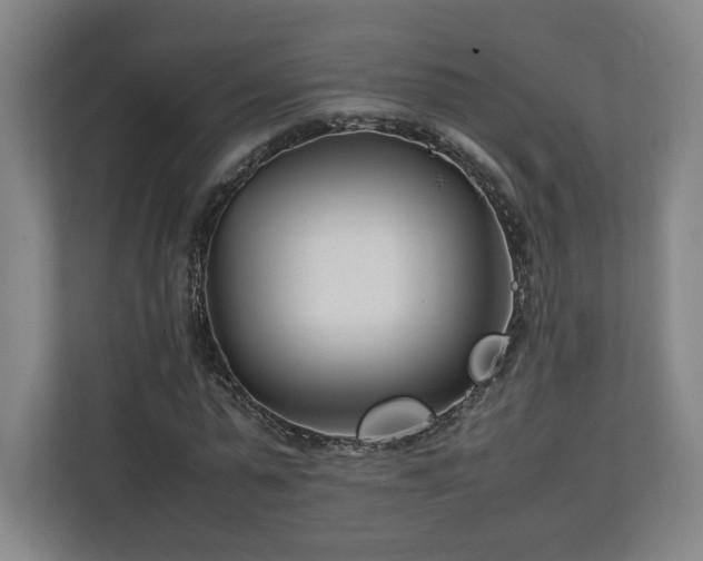 X0000111210775200907081301