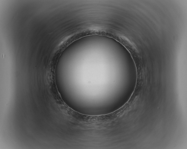 X0000111210776200907081301