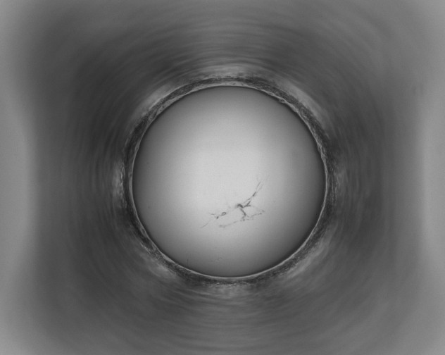 X0000111210778200907081301