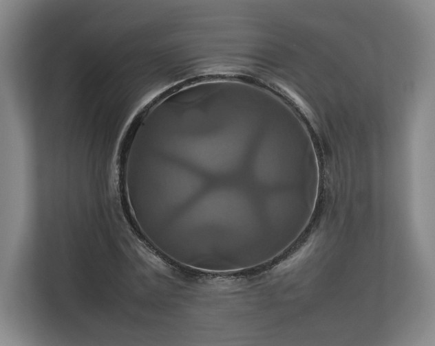 X0000111210779200907081301