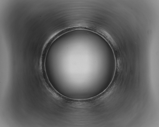 X0000111210780200907081301