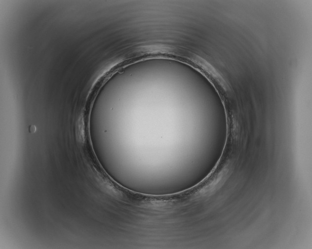 X0000111210782200907081301