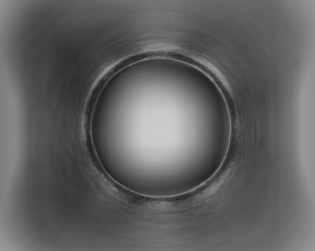 X0000111210783200907081301