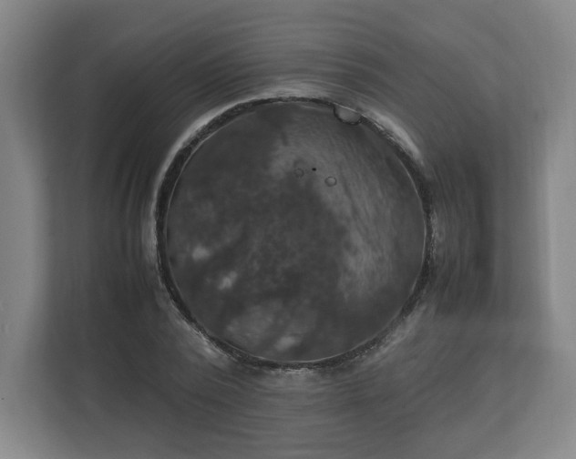 X0000111210784200907081301