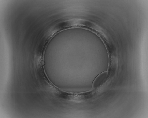 X0000111210785200907081301