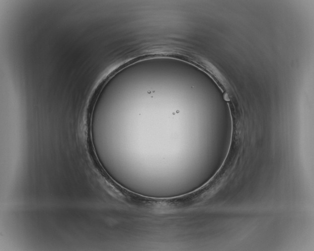 X0000111210787200907081301