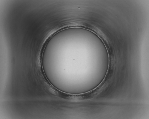 X0000111210789200907081301