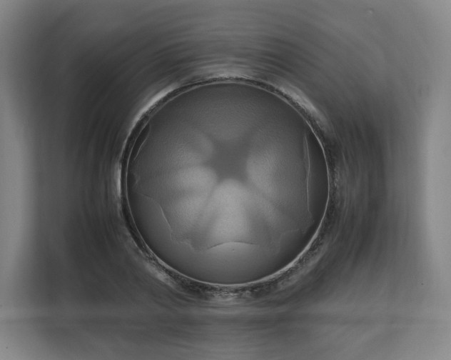 X0000111210790200907081301