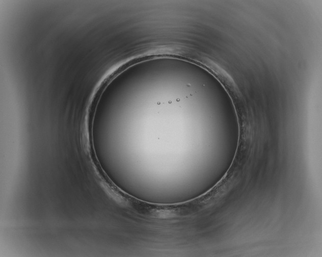 X0000111210792200907081301