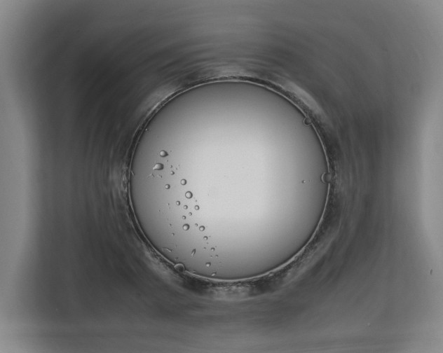 X0000111210793200907081301