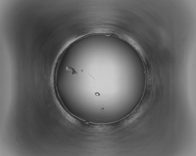 X0000111210803200907081301