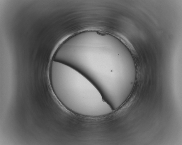 X0000111210804200907081301