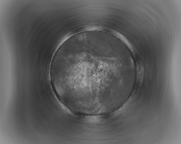 X0000111210810200907081300