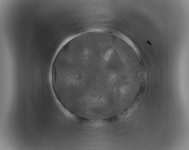 X0000111210811200907081300