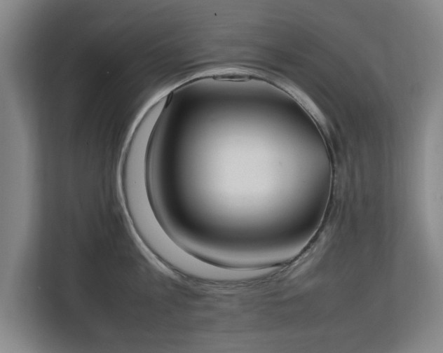 X0000111210813200907081300