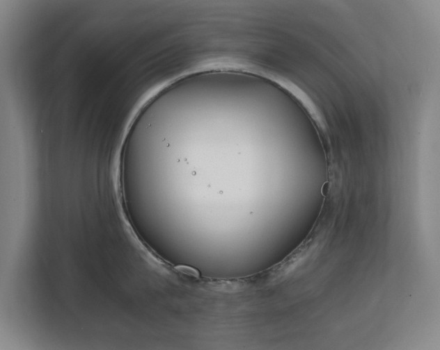 X0000111210815200907081300