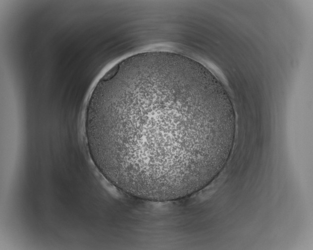 X0000111210816200907081300