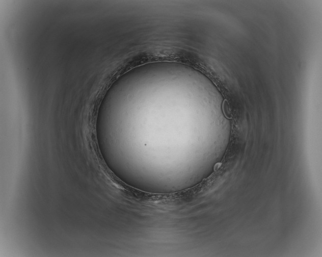 X0000111210817200907081300