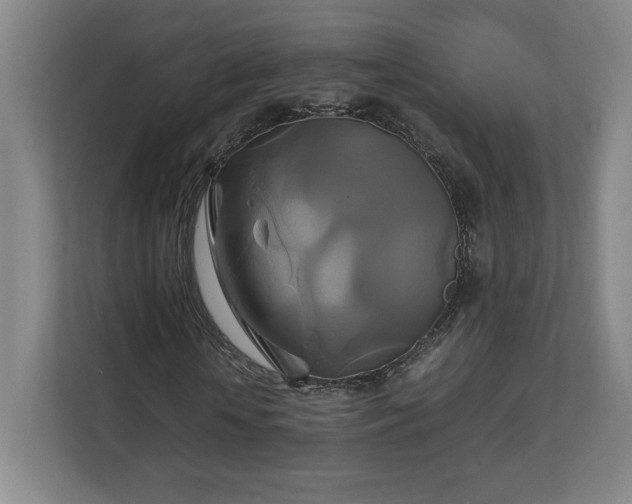 X0000111210818200907081300