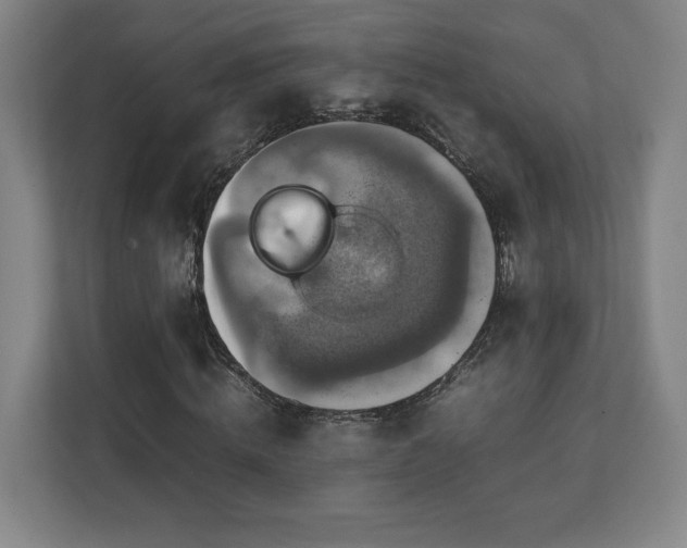 X0000111210820200907081300