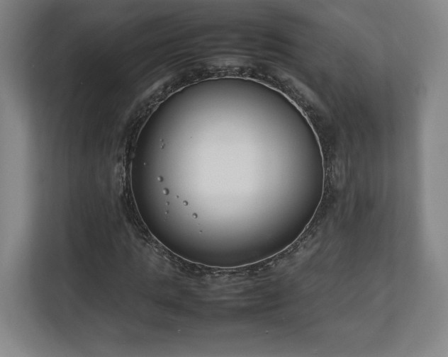 X0000111210821200907081300