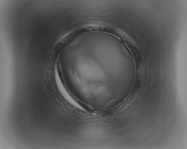 X0000111210822200907081300