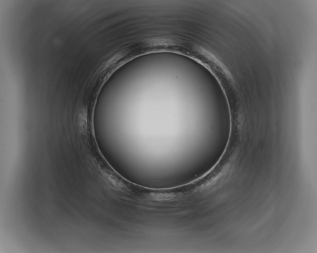 X0000111210825200907081300