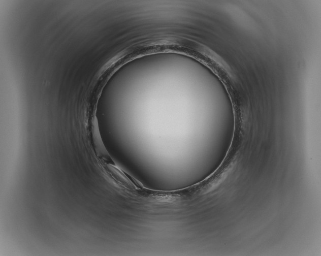 X0000111210826200907081300