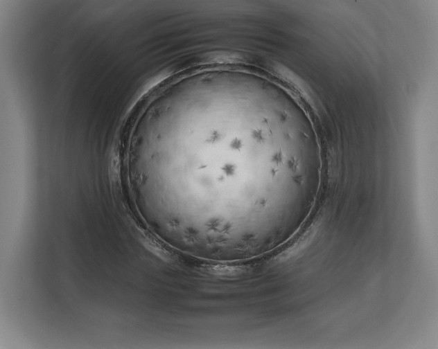 X0000111210827200907081300